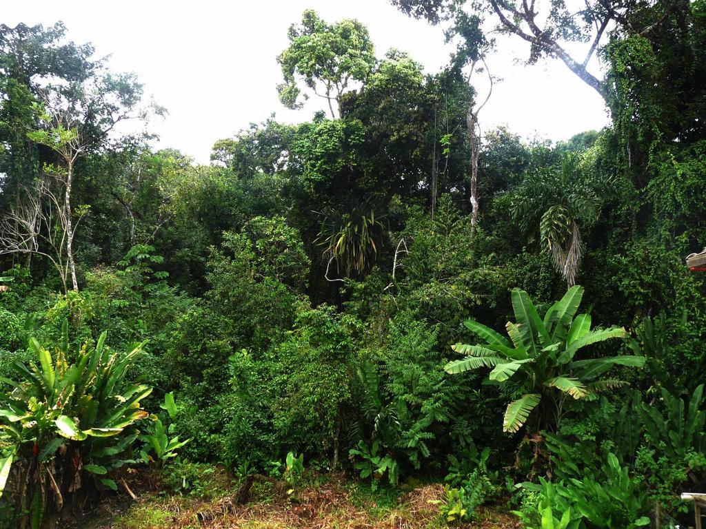 Vila Engawa Flats Itacare Bagian luar foto